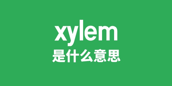 xylem是甚么意义
