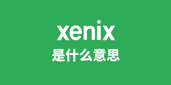 xenix是甚么意义