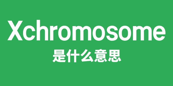 Xchromosome是甚么意义