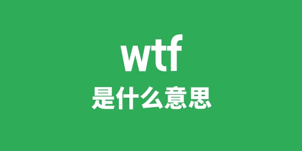 wtf是甚么意义