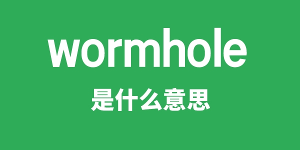 wormhole是甚么意义