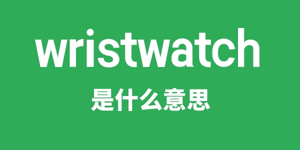 wristwatch是甚么意义