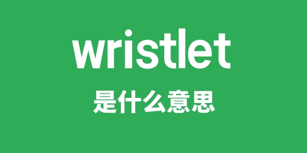 wristlet是甚么意义