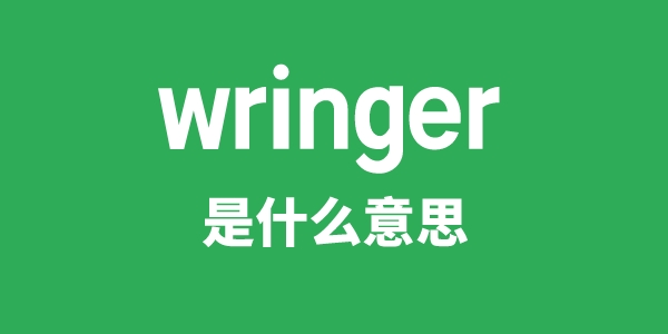 wringer是甚么意义