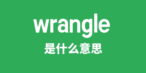 wrangle是甚么意义