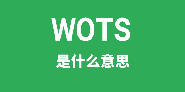 WOTS是甚么意义