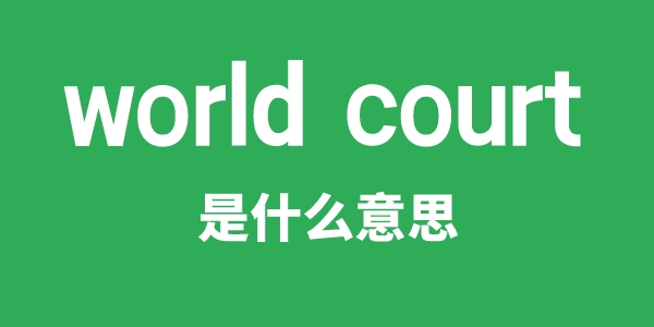 world court是甚么意义