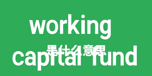 working capital fund是甚么意义