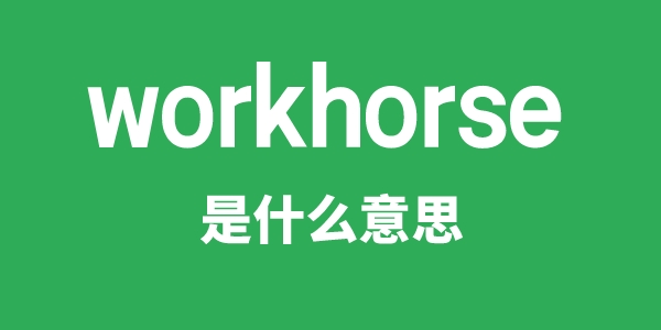 workhorse是甚么意义