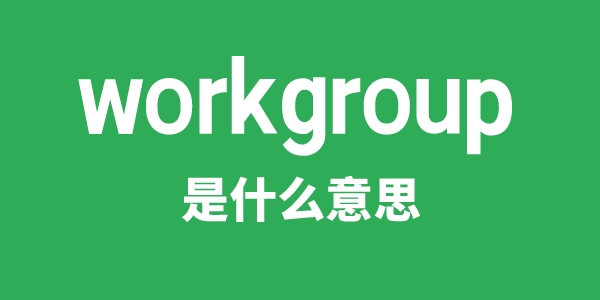 workgroup是甚么意义