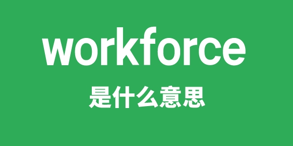 workforce是甚么意义