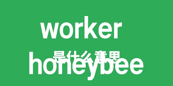 worker honeybee是甚么意义