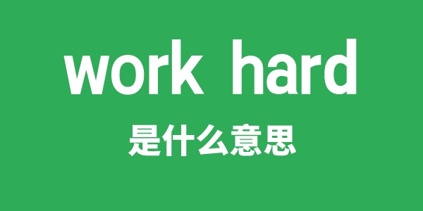 work hard是甚么意义