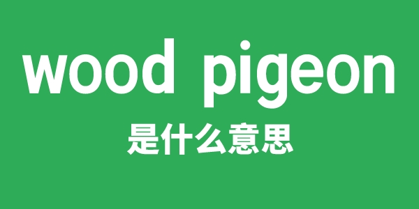 wood pigeon是甚么意义