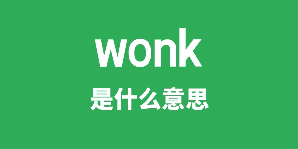 wonk是甚么意义