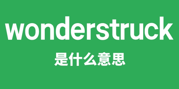 wonderstruck是甚么意义