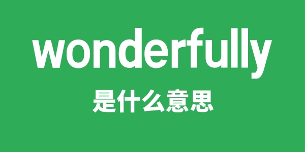 wonderfully是甚么意义