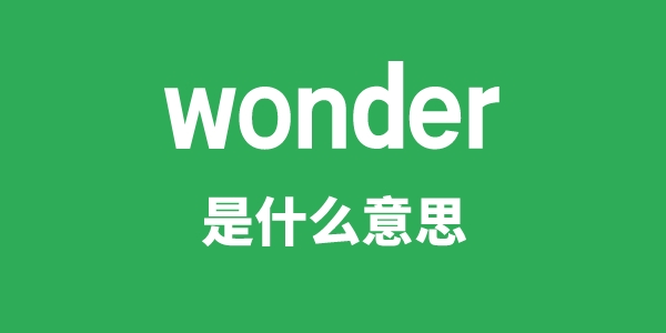 wonder是甚么意义