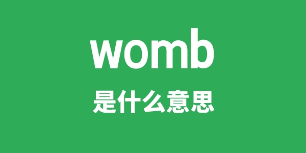womb是甚么意义