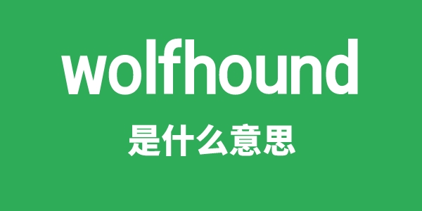 wolfhound是甚么意义