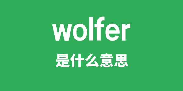 wolfer是甚么意义