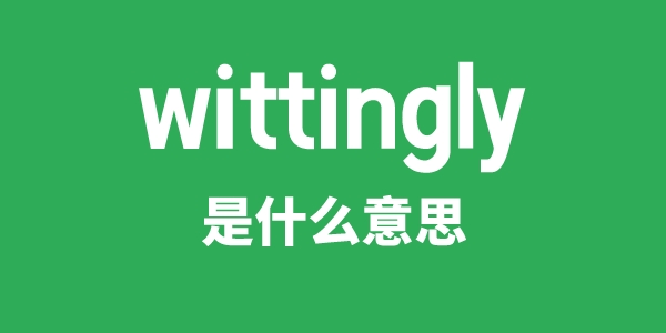 wittingly是甚么意义