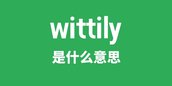 wittily是甚么意义