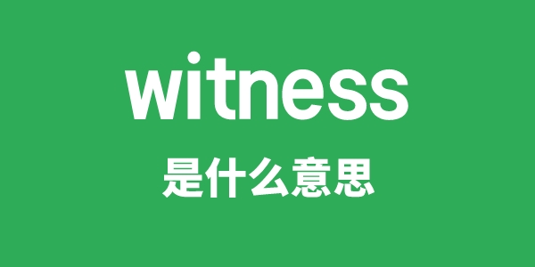 witness是甚么意义
