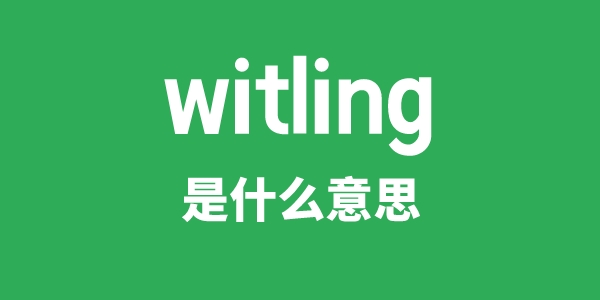 witling是甚么意义