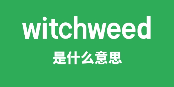 witchweed是甚么意义