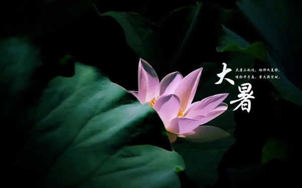 大暑骨气的寄义是甚么,大暑骨气的特色和风尚简介