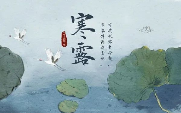 寒露骨气的寄义是甚么,寒露骨气的特色和风尚简介