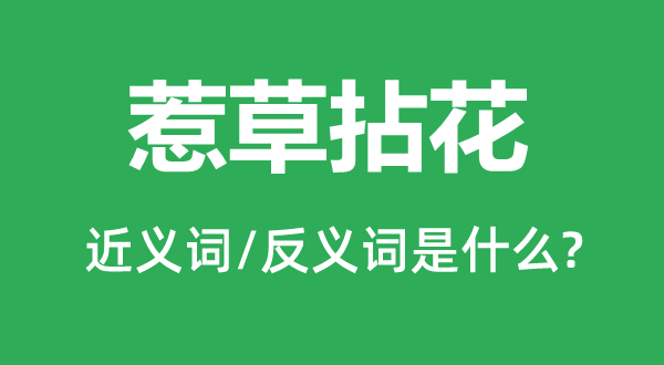 惹草拈花的近义词和反义词是甚么,惹草拈花是甚么意义
