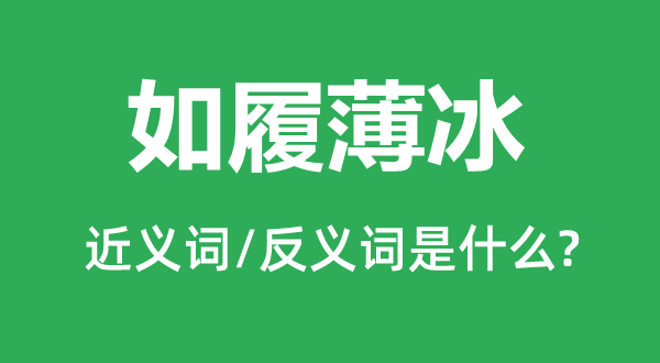 谨严翼翼的近义词和反义词是甚么,谨严翼翼是甚么意义