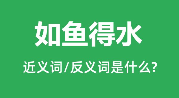 瓮中之鳖的近义词和反义词是甚么,瓮中之鳖是甚么意义