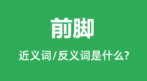 前脚的近义词和反义词是甚么,前脚是甚么意义