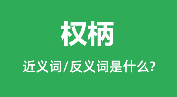 权益的近义词和反义词是甚么,权益是甚么意义