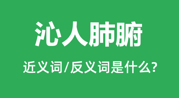 沁民气脾的近义词和反义词是甚么,沁民气脾是甚么意义