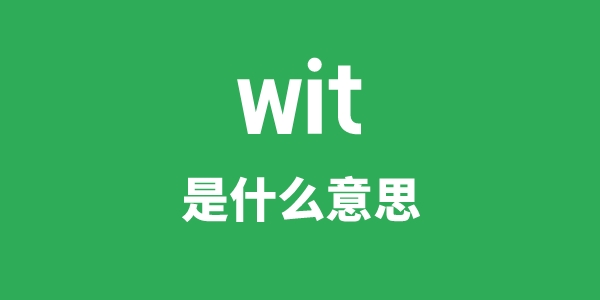 wit是甚么意义
