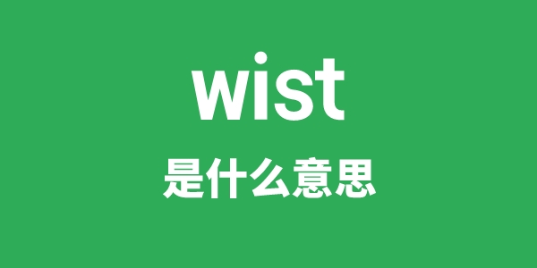 wist是甚么意义