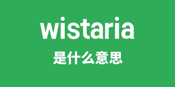 wistaria是甚么意义