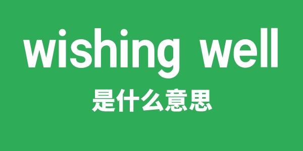 wishing well是甚么意义