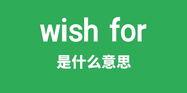 wish for是甚么意义