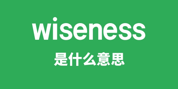 wiseness是甚么意义