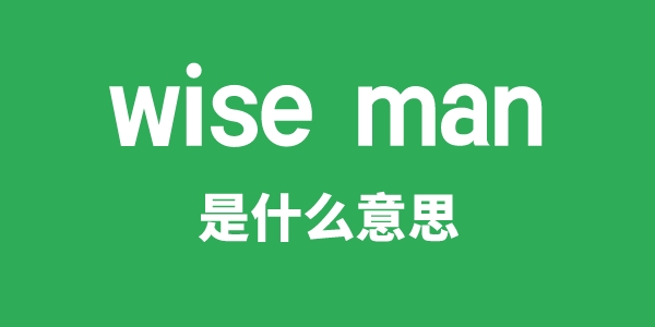 wise man是甚么意义