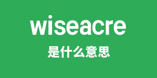 wiseacre是甚么意义