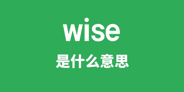 wise是甚么意义