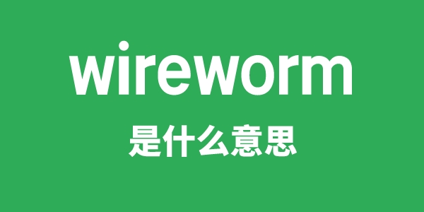 wireworm是甚么意义