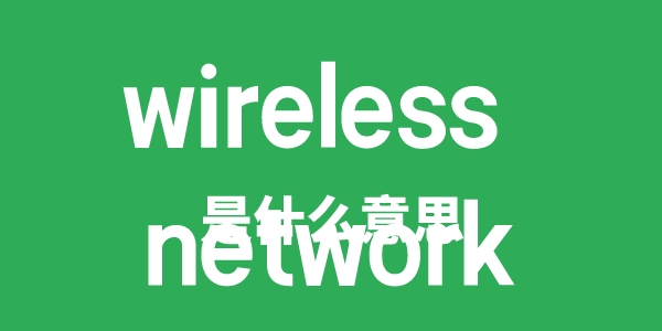 wireless network是甚么意义