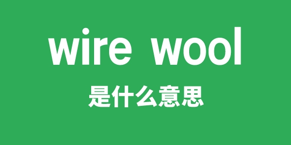 wire wool是甚么意义